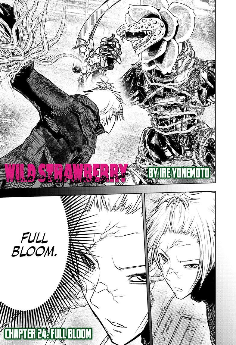Wild Strawberry Chap 24 - Next Chap 25