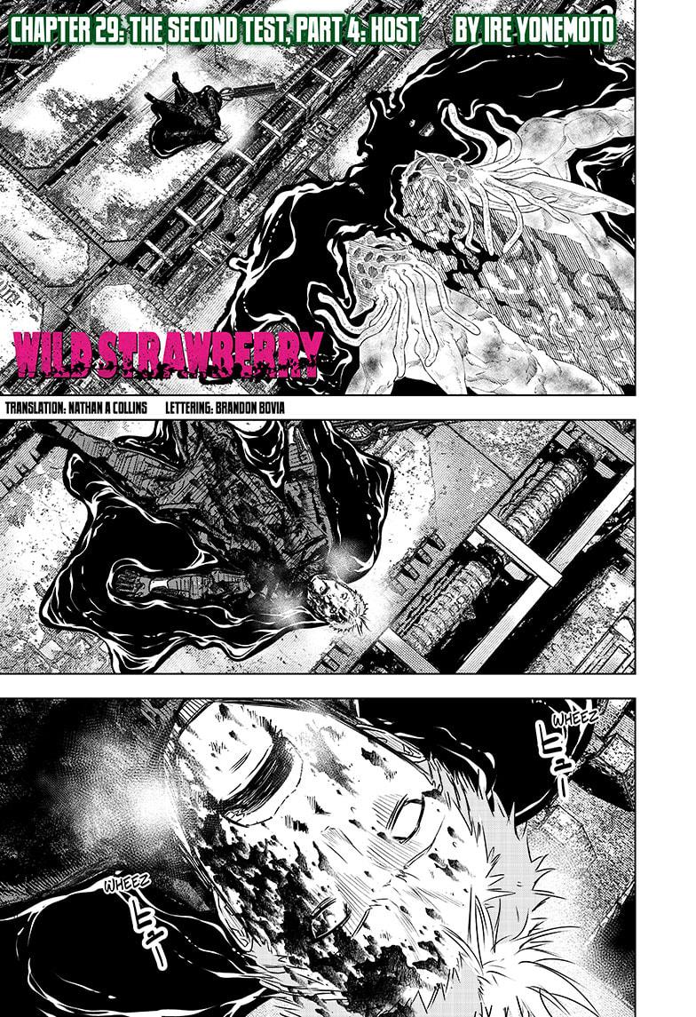 Wild Strawberry Chap 29 - Next Chap 30