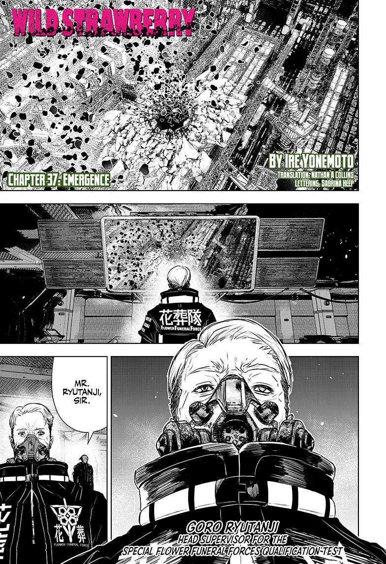 Wild Strawberry Chap 37 - Next Chap 38