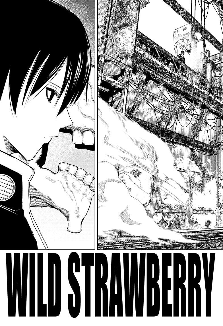 Wild Strawberry Chap 30 - Next Chap 31