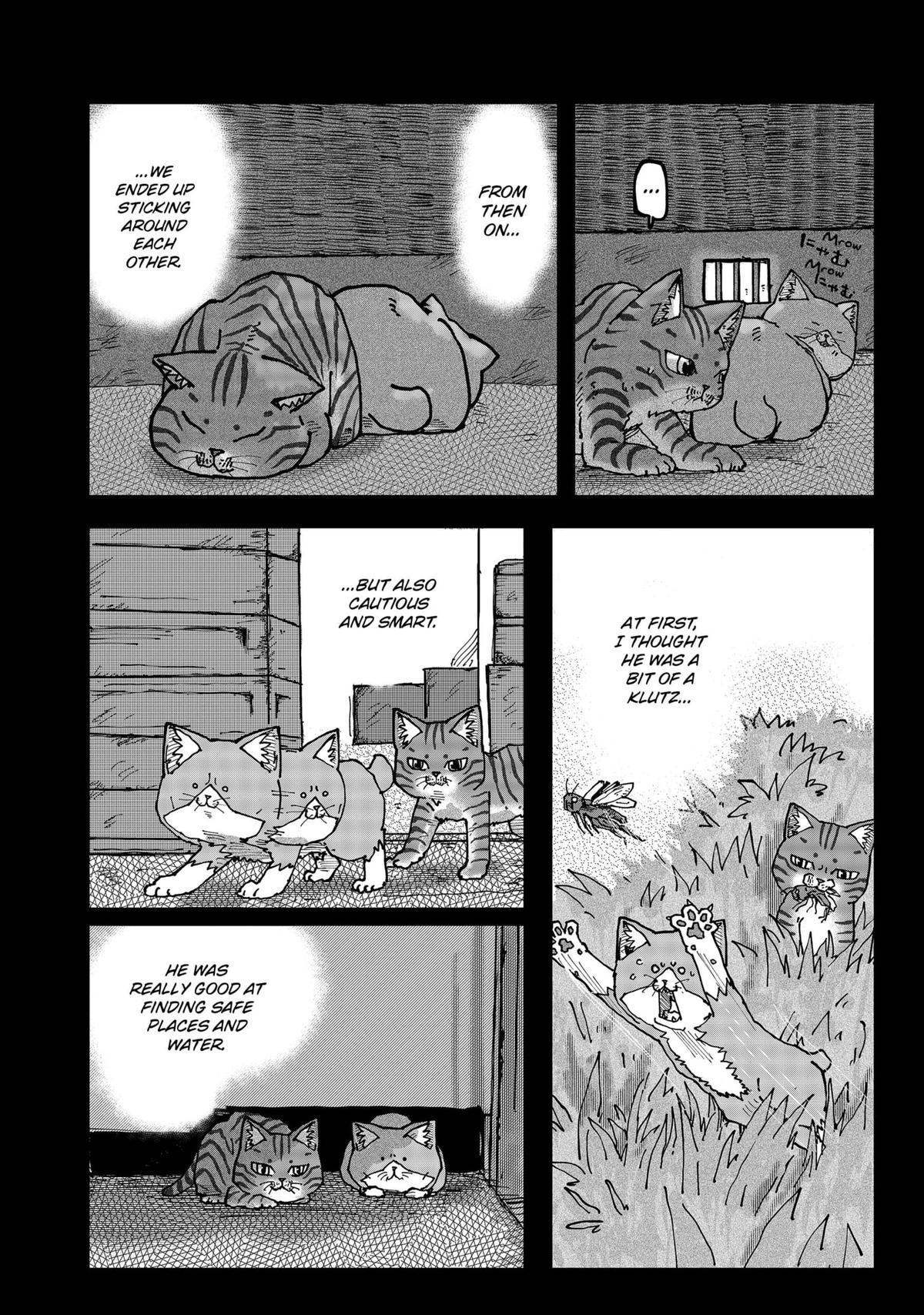 Red Cat Ramen Chap 117 - Next Chap 118