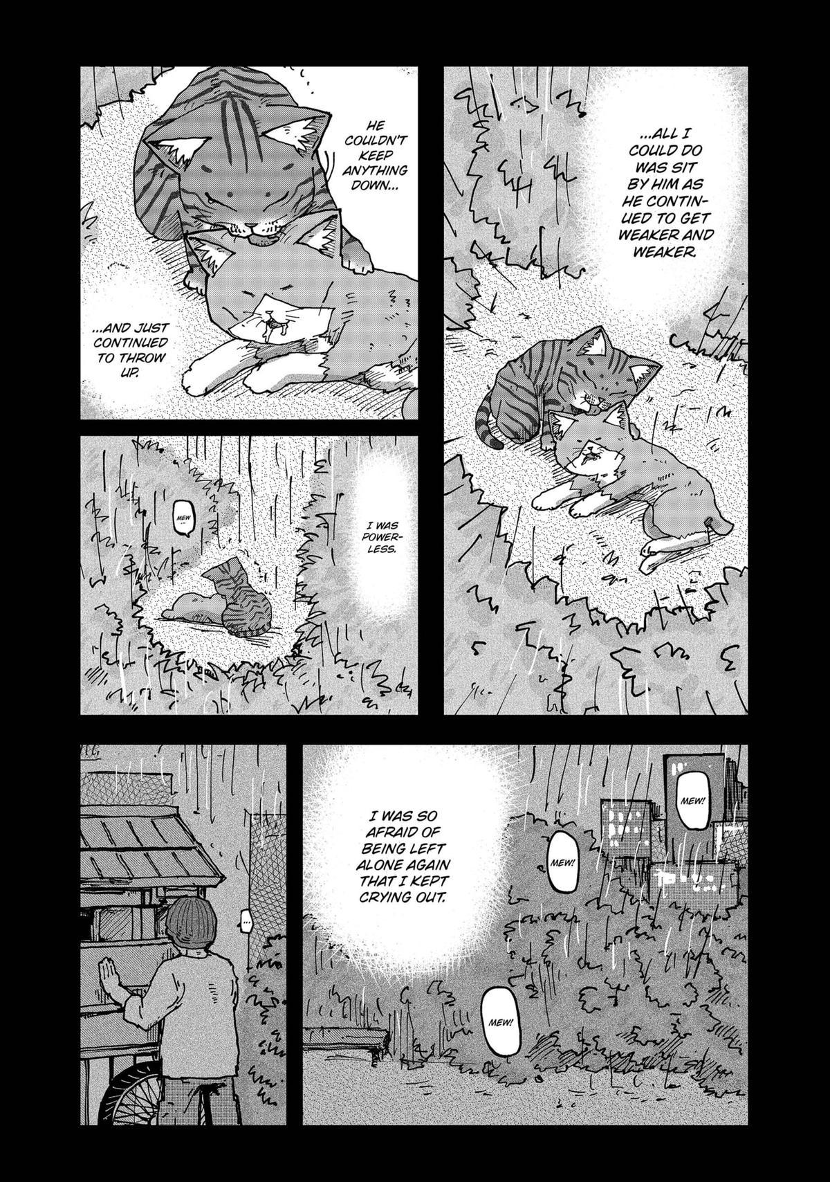 Red Cat Ramen Chap 117 - Next Chap 118