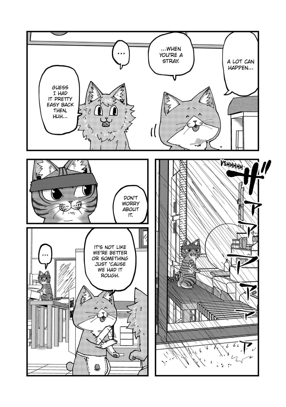 Red Cat Ramen Chap 117 - Next Chap 118