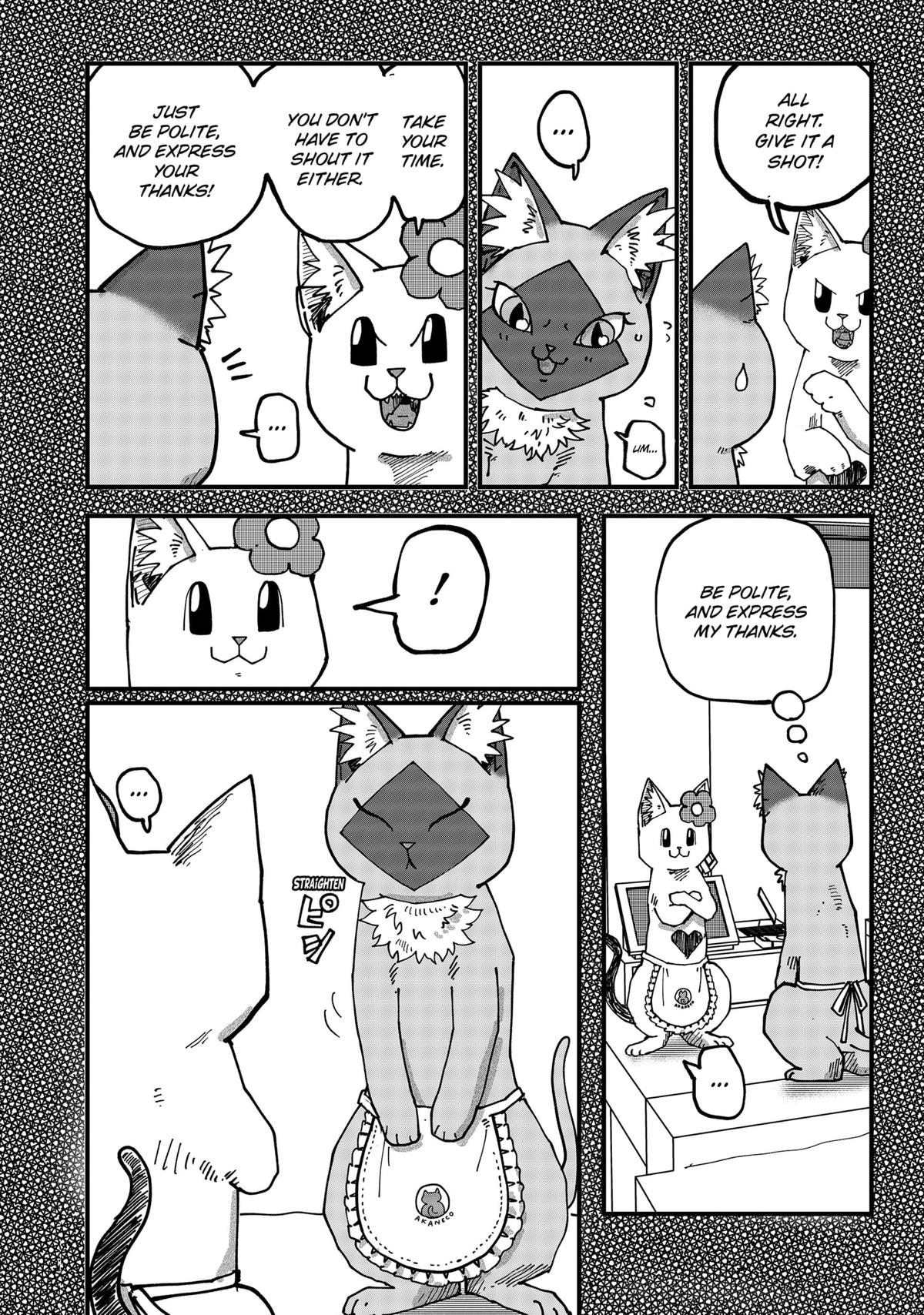 Red Cat Ramen Chap 116 - Next Chap 117