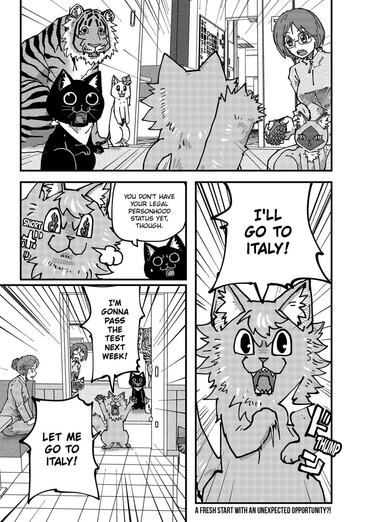 Red Cat Ramen Chap 123 - Next Chap 124