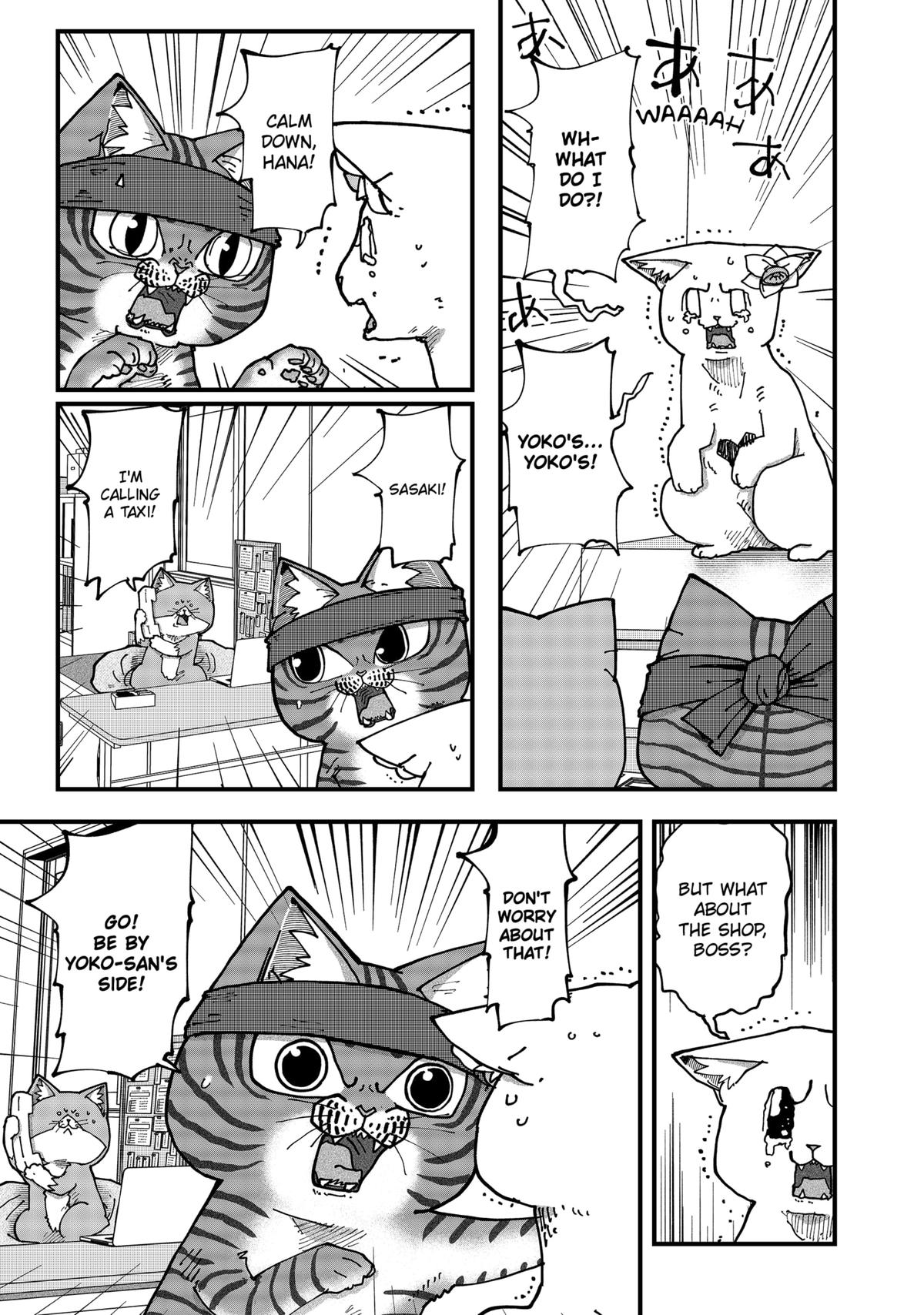 Red Cat Ramen Chap 177 - Next Chap 178