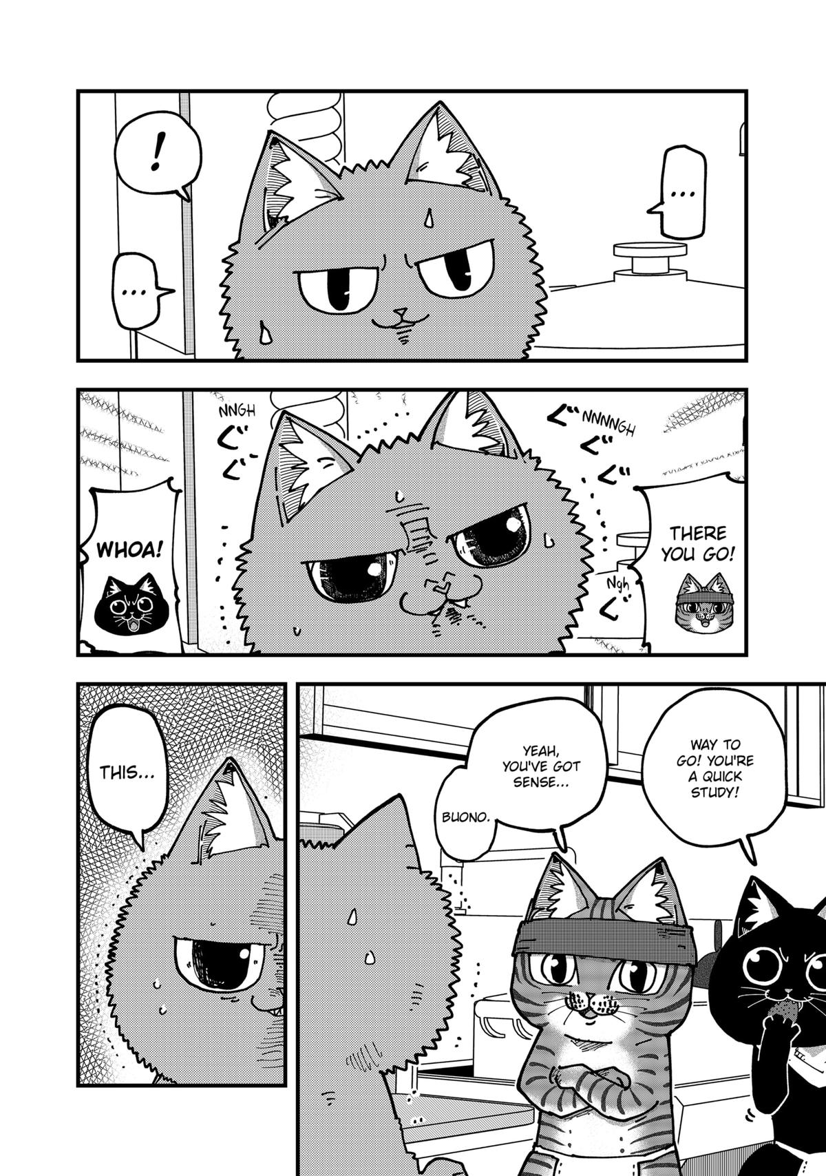 Red Cat Ramen Chap 185 - Next Chap 186