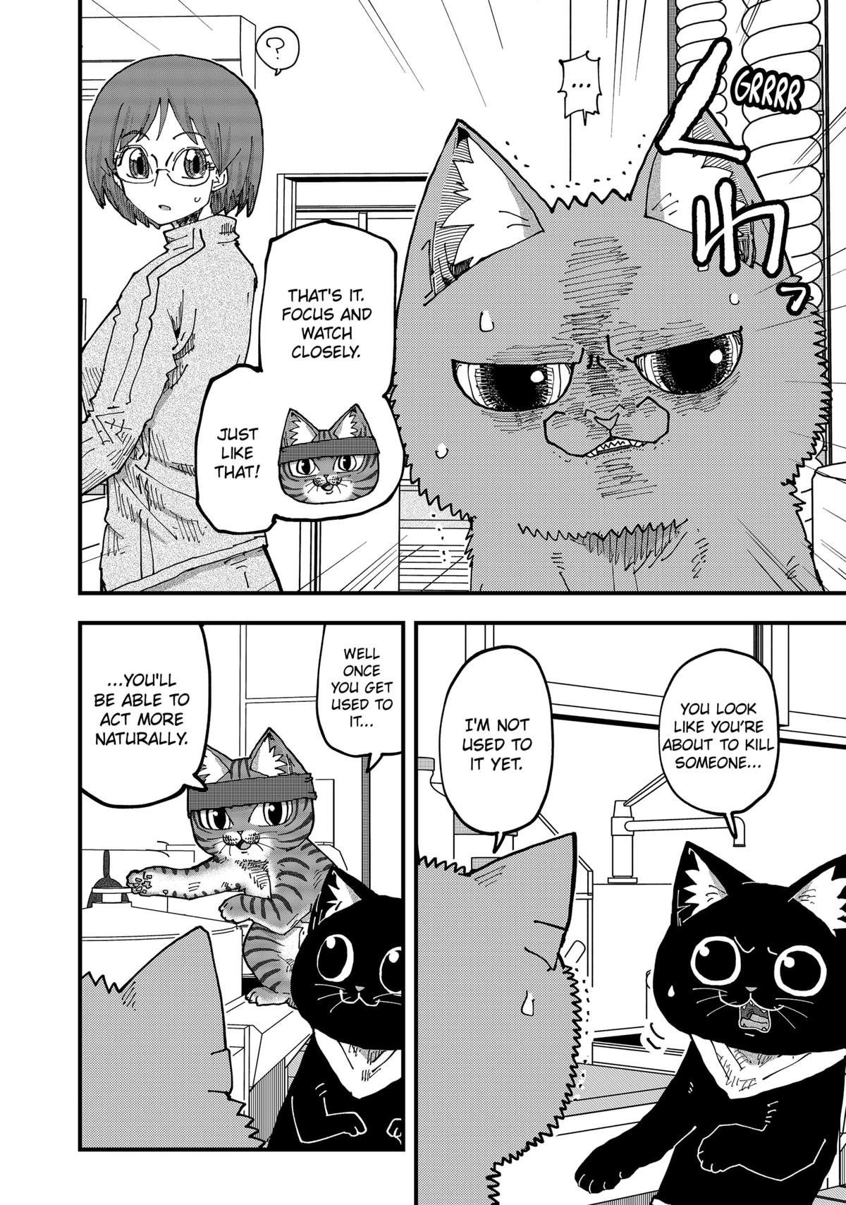 Red Cat Ramen Chap 185 - Next Chap 186