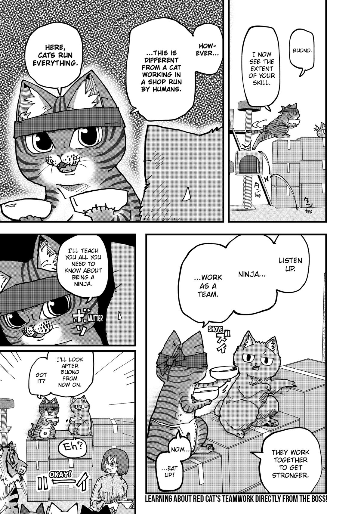 Red Cat Ramen Chap 183 - Next Chap 184