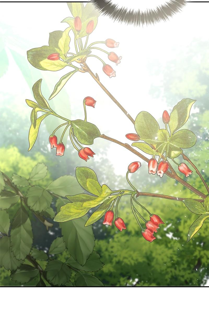 I'm the Queen in This Life Chap 97 - Next Chap 98