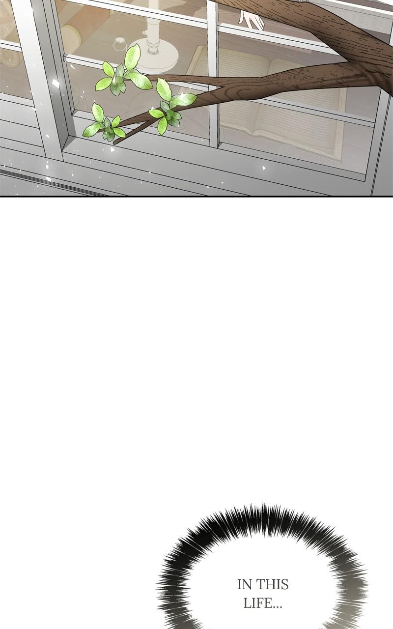 I'm the Queen in This Life Chap 97 - Next Chap 98