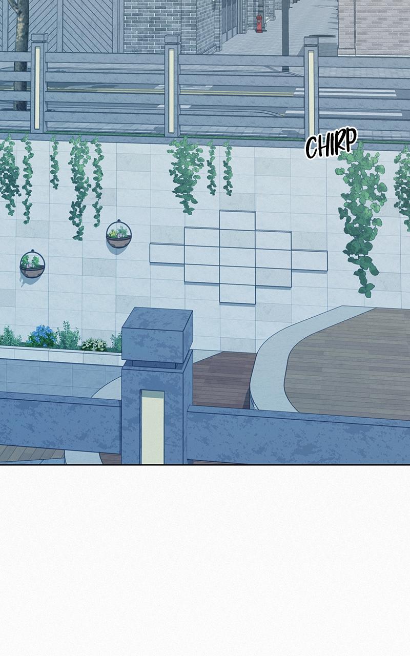 Operation: True Love Chap 37 - Next Chap 38