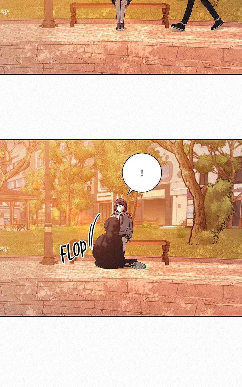 Operation: True Love Chap 38 - Next Chap 39