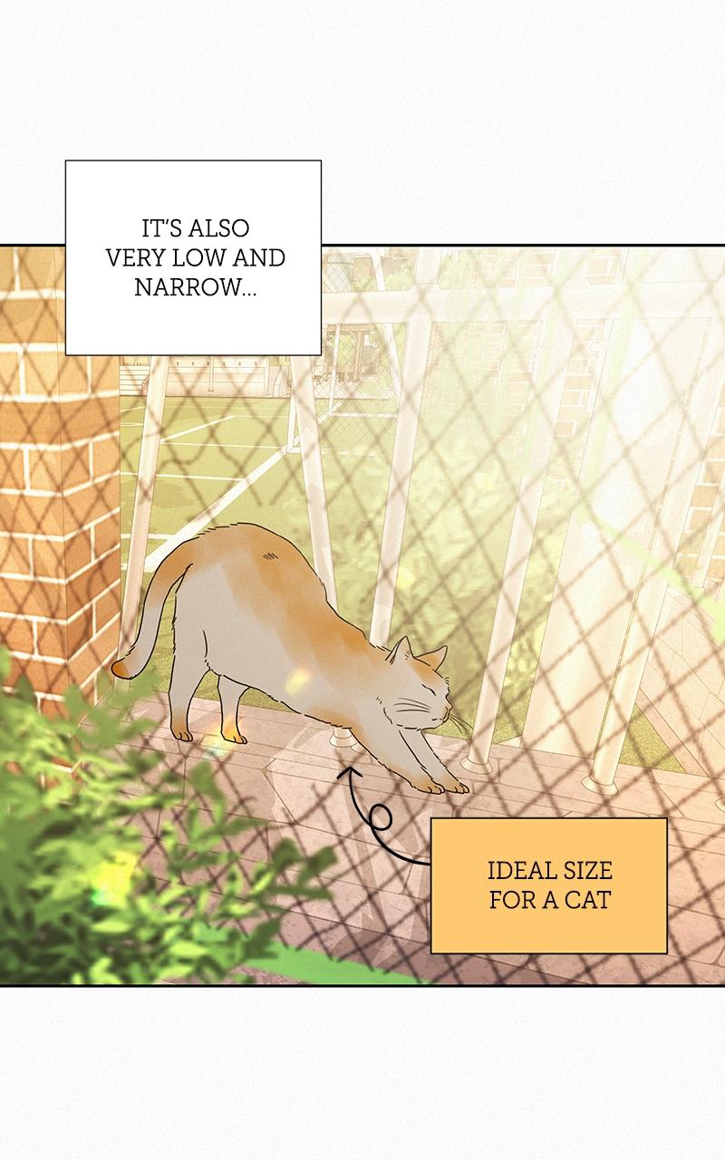 Operation: True Love Chap 44 - Next Chap 45