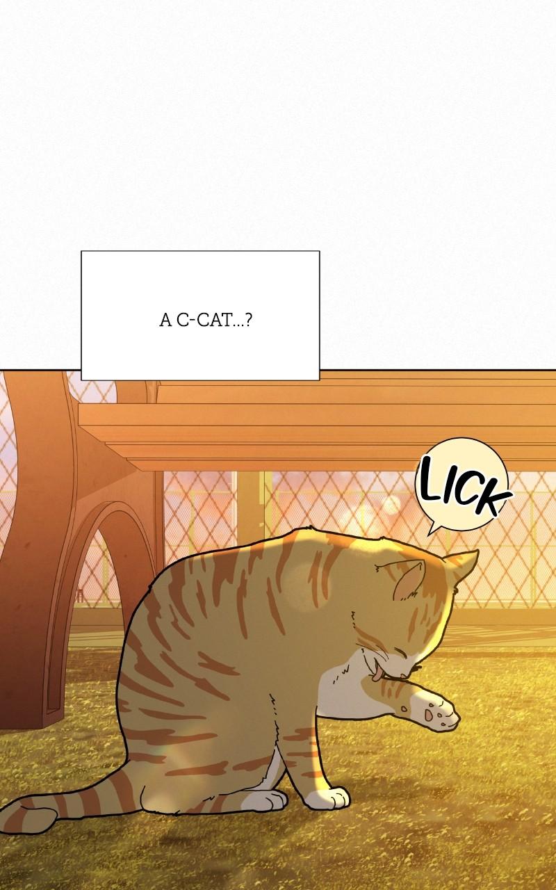 Operation: True Love Chap 99 - Next Chap 100