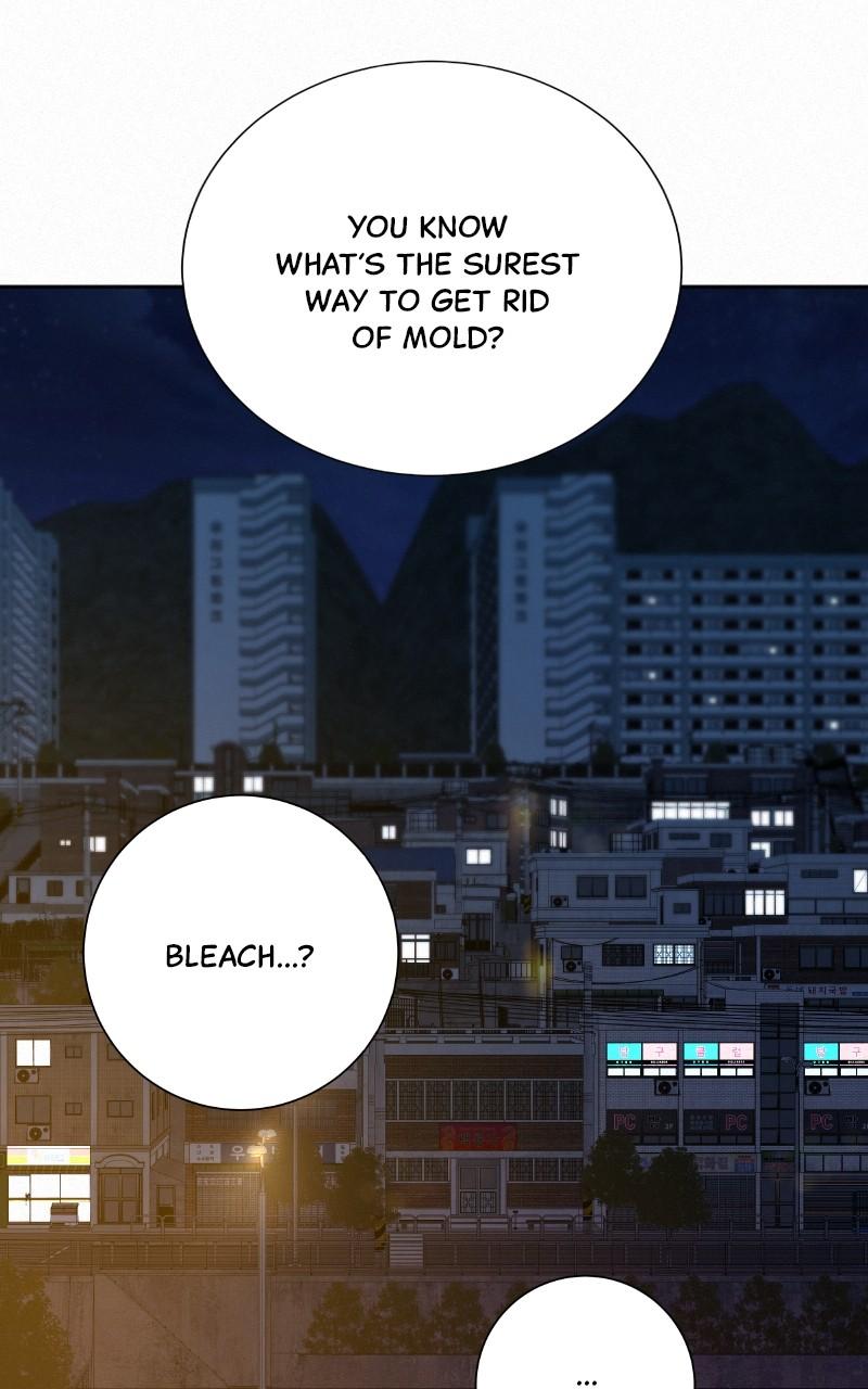 Operation: True Love Chap 99 - Next Chap 100