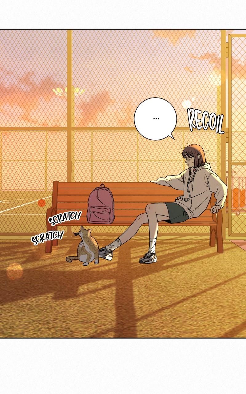 Operation: True Love Chap 99 - Next Chap 100
