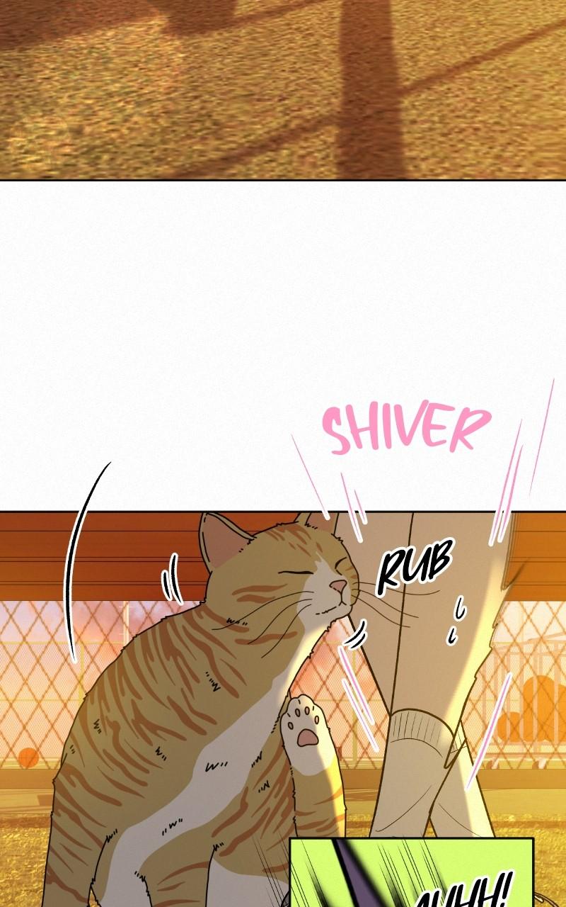 Operation: True Love Chap 99 - Next Chap 100