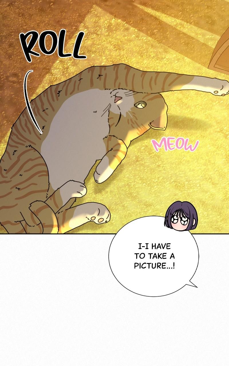 Operation: True Love Chap 99 - Next Chap 100