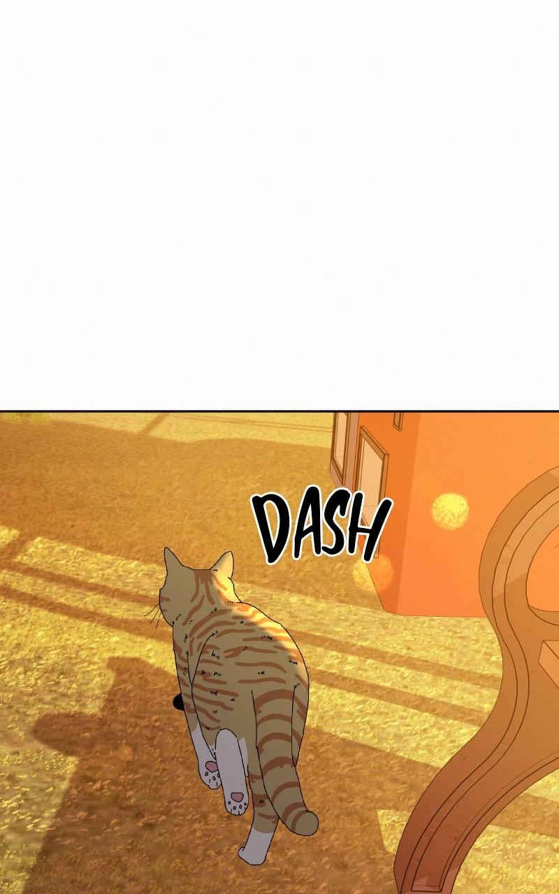 Operation: True Love Chap 99 - Next Chap 100
