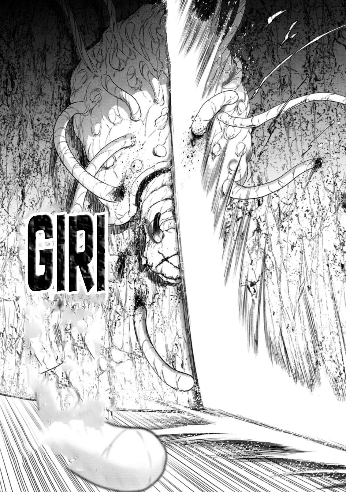 Zatsuyou Fuyo Jutsushi ga Jibun no Saikyou ni Kizuku made Chap 13.2 - Next Chap 14.2