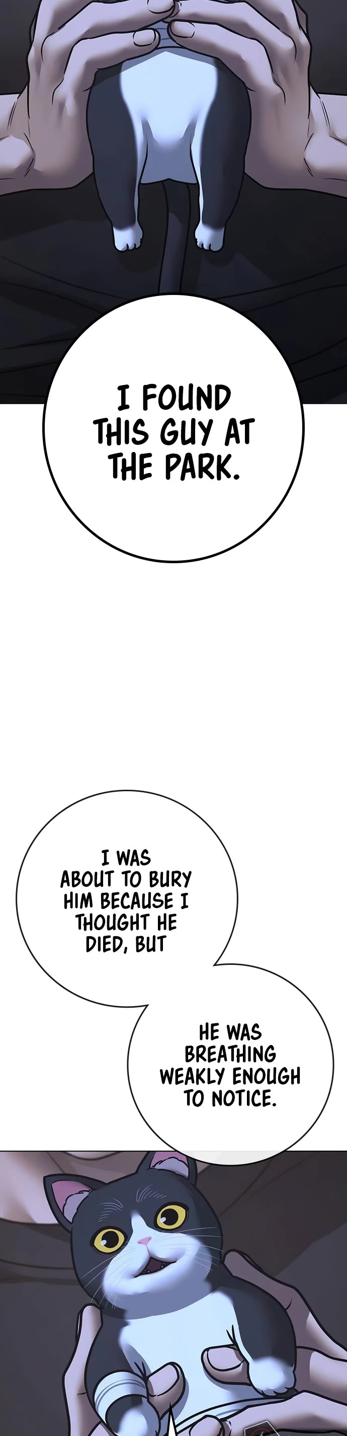 Reality Quest Chap 136 - Next Chap 137