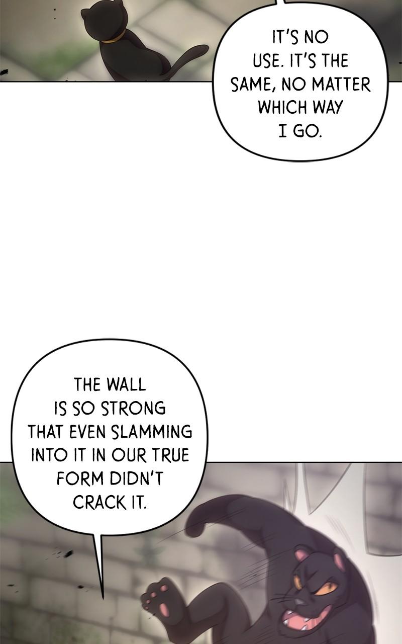 Surviving a Fantasy Adventure Comic Chap 116 - Next Chap 117