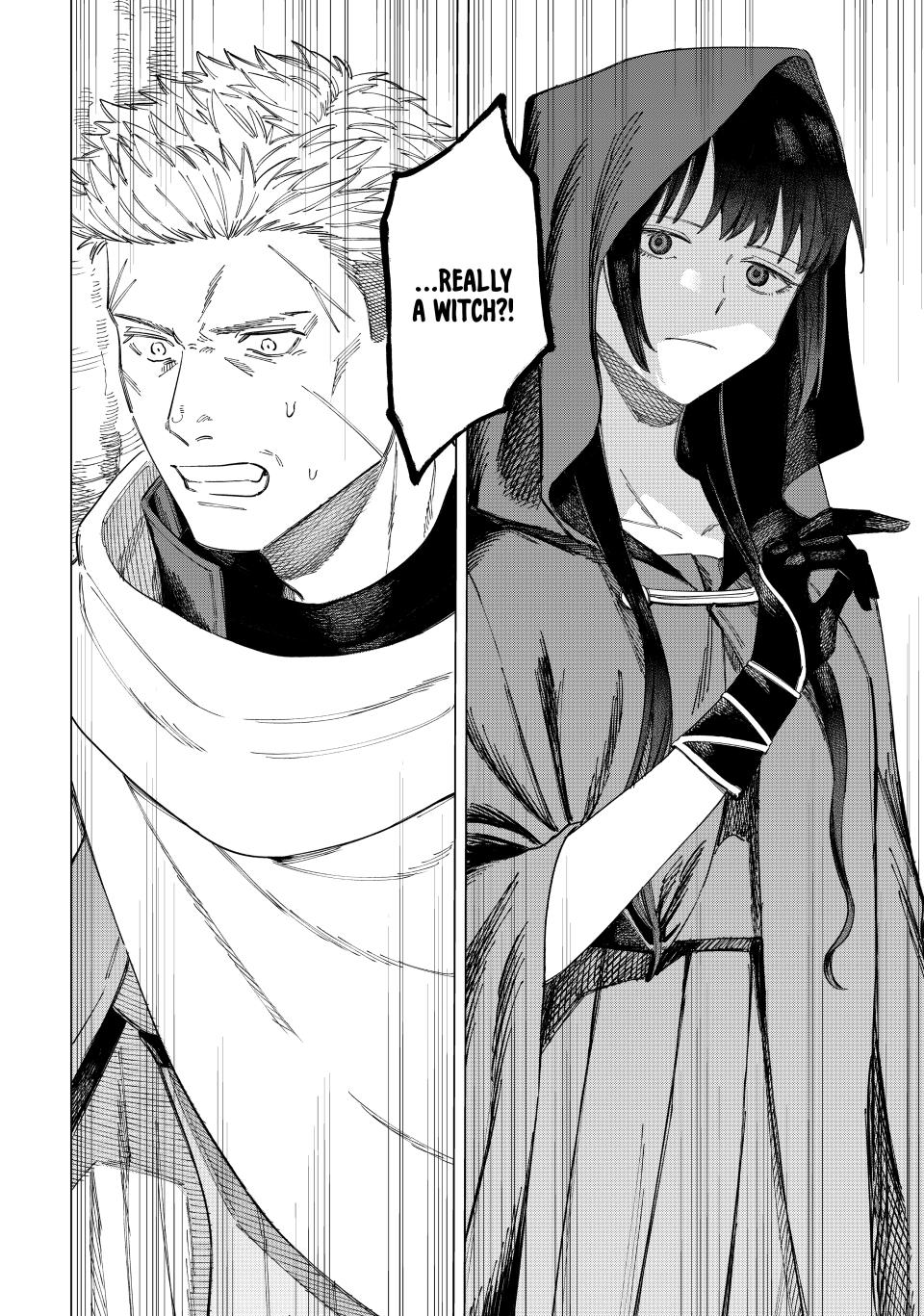 The Witch and the Mercenary Chap 1 - Next Chap 2