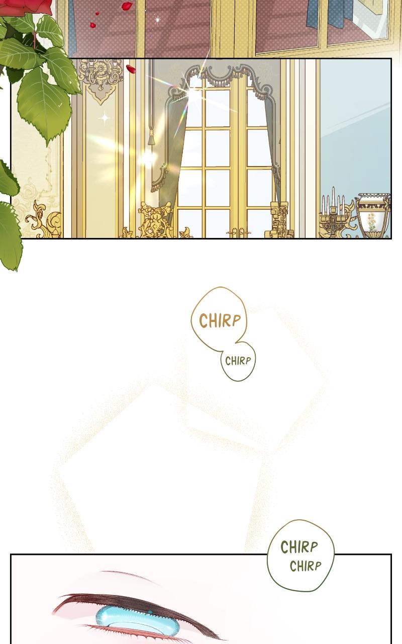 Baby Tyrant Chap 14 - Next Chap 15