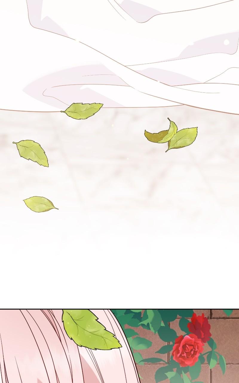 Baby Tyrant Chap 74 - Next Chap 75