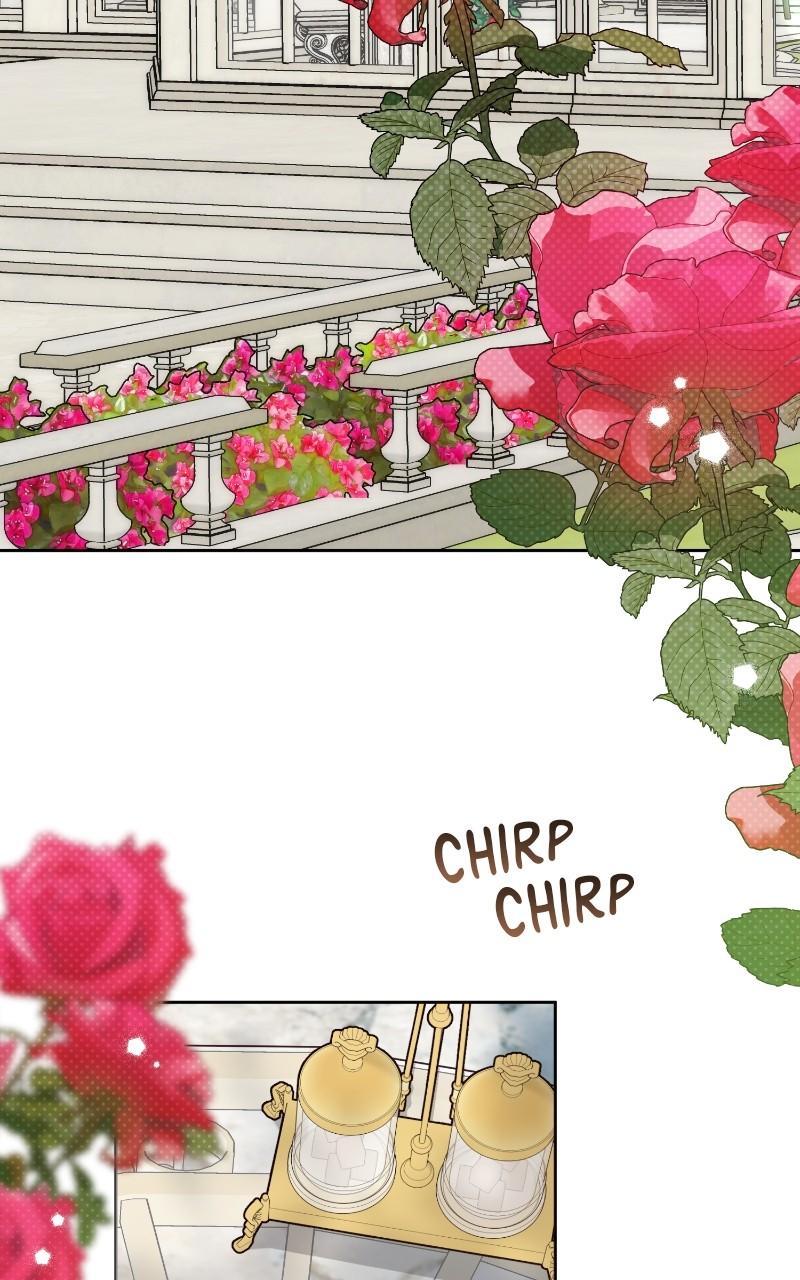 Baby Tyrant Chap 79 - Next Chap 80