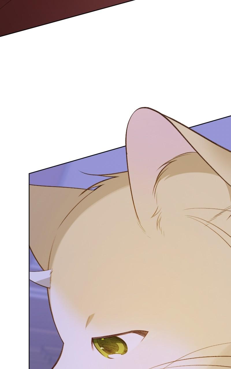 Baby Tyrant Chap 85 - Next Chap 86