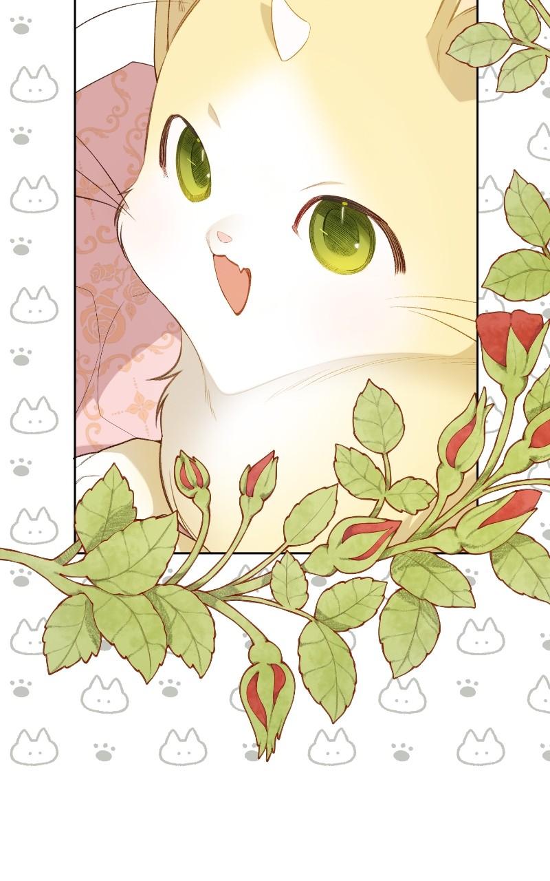 Baby Tyrant Chap 82 - Next Chap 83