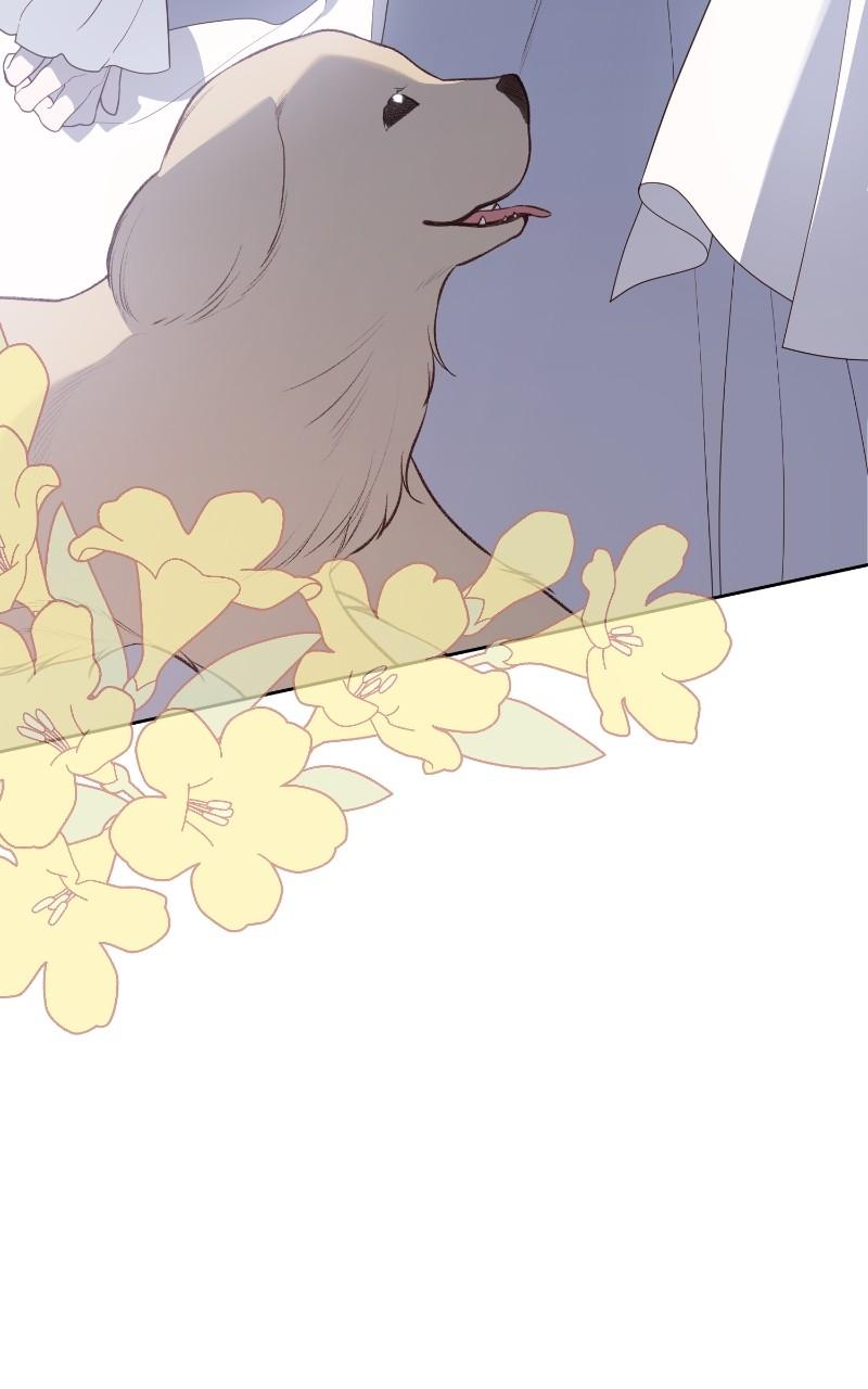 Baby Tyrant Chap 94 - Next Chap 95