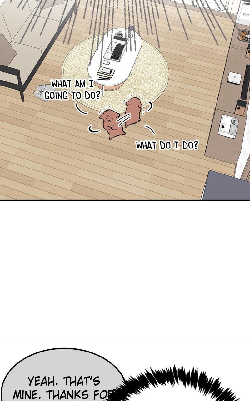 I Spy a Married Life Chap 8 - Next Chap 9