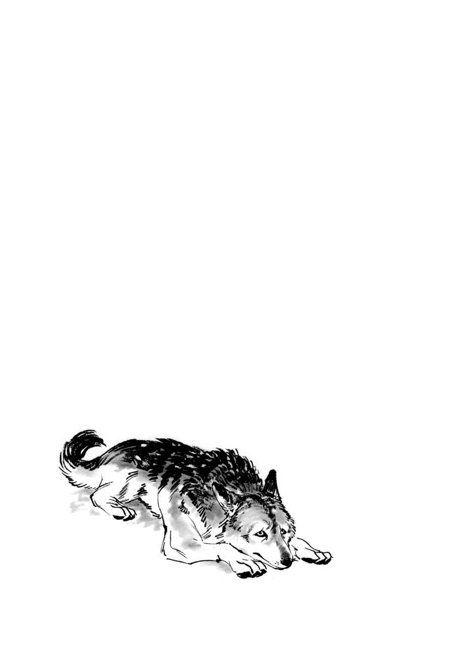 Tora wa Ryuu wo Mada Tabenai. Chap 13 - Next Chap 14