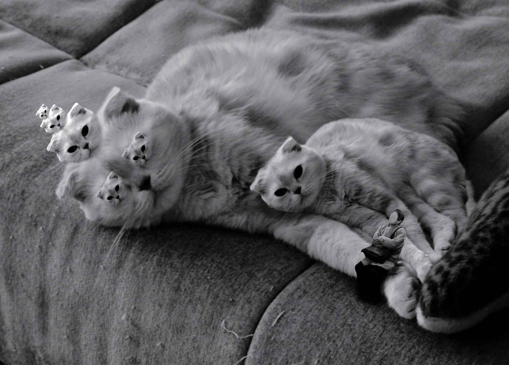 Oyasumi Punpun, おやすみプンプン Chap 78 - Next Chap 79