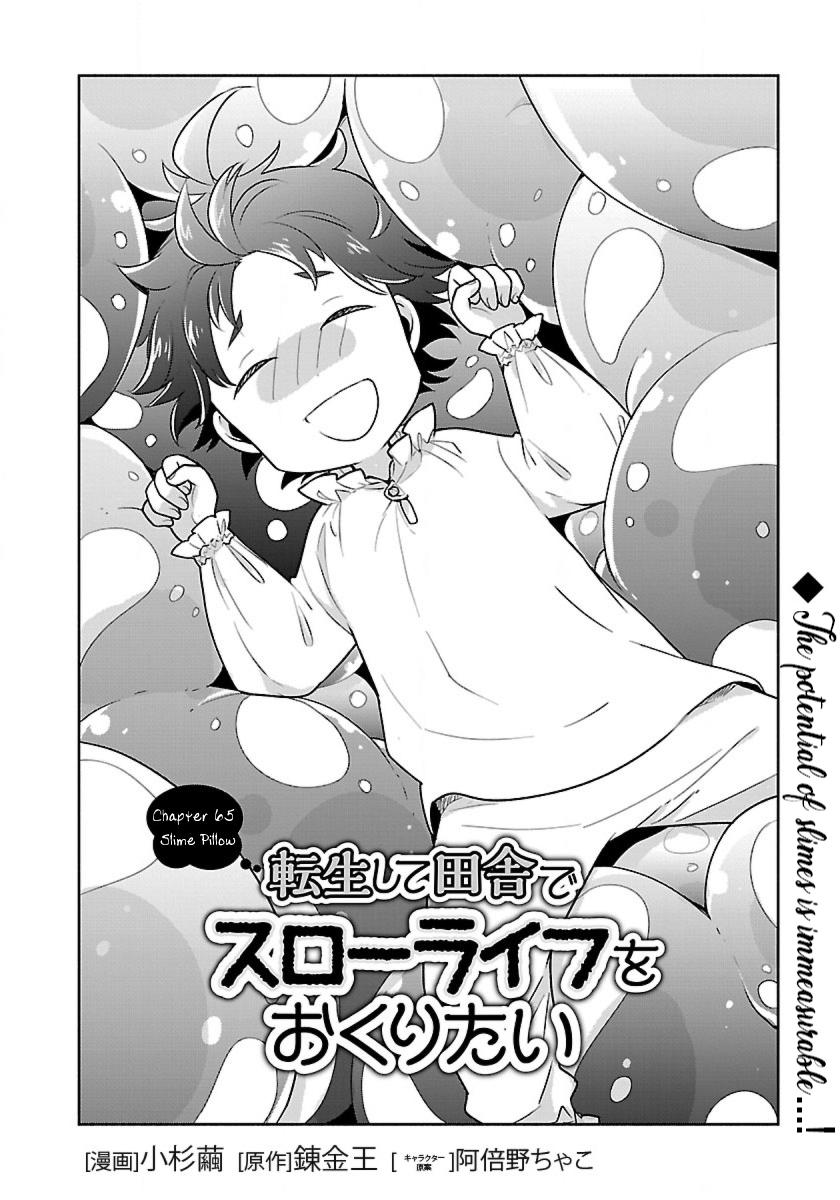 Tensei Shite Inaka de Slowlife wo Okuritai Chap 65 - Next Chap 66