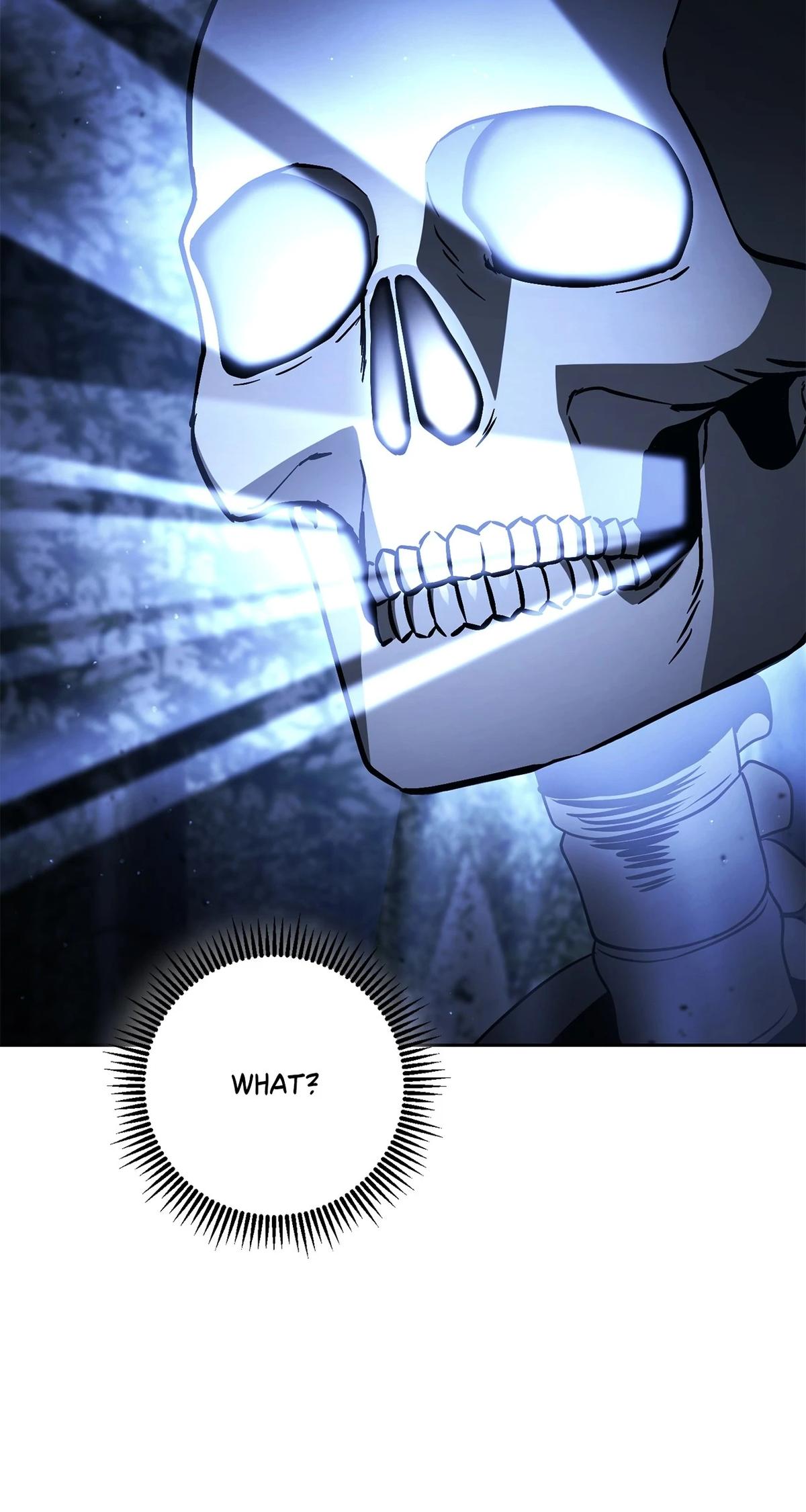 Skeleton Soldier Couldn't Protect the Dungeon Chap 336 - Next Chap 337