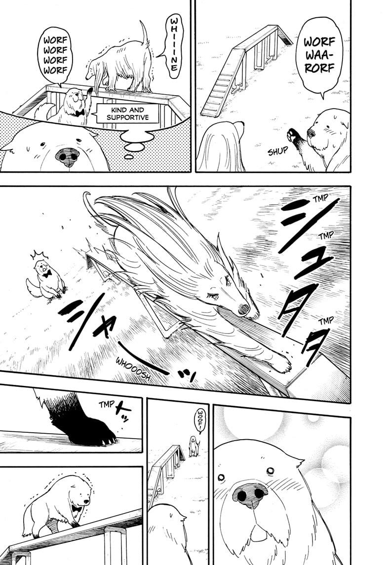 SPY x FAMILY Chap 62.5 - Next Chap 63.5