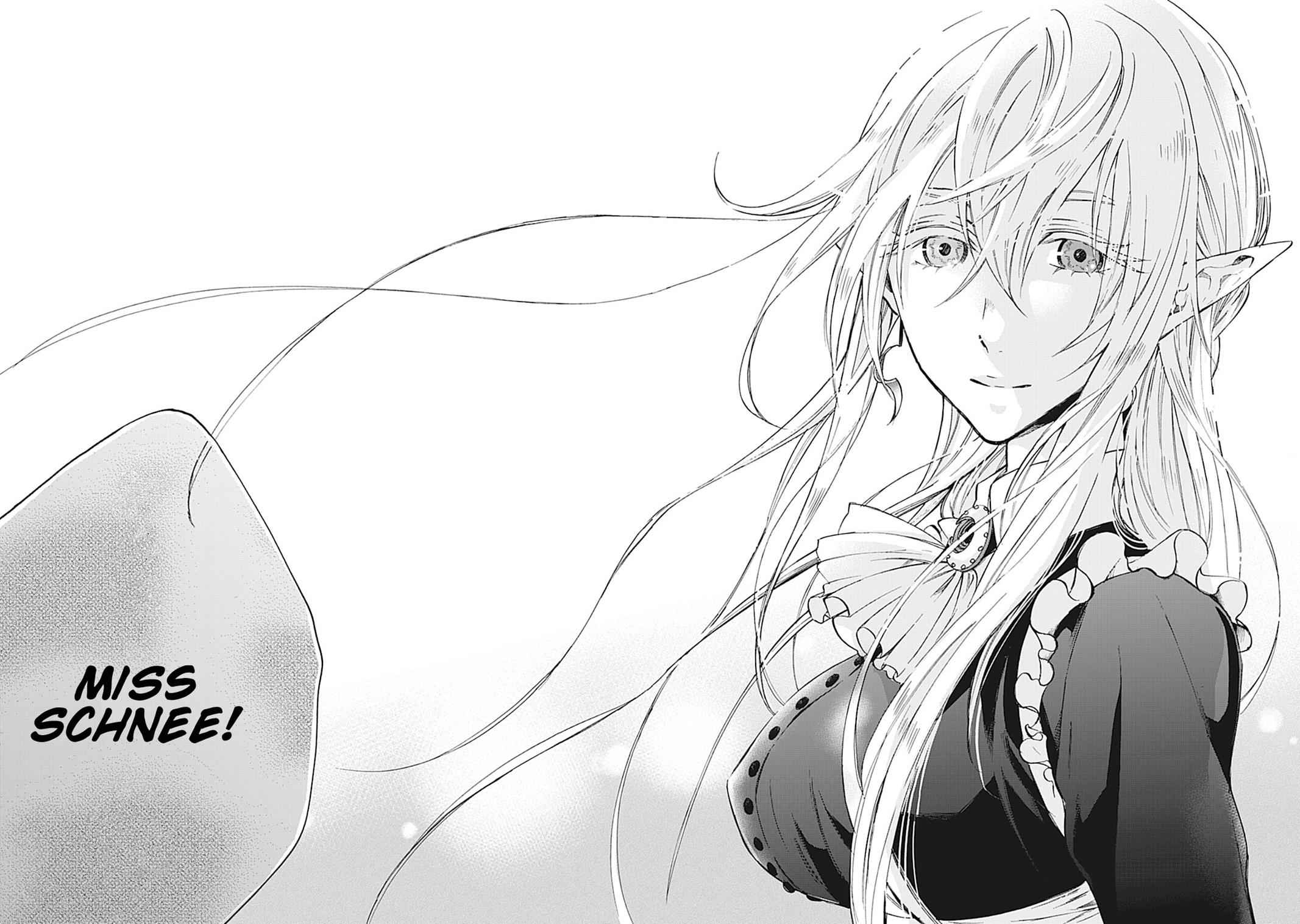 The New Gate Chap 13 - Next Chap 14