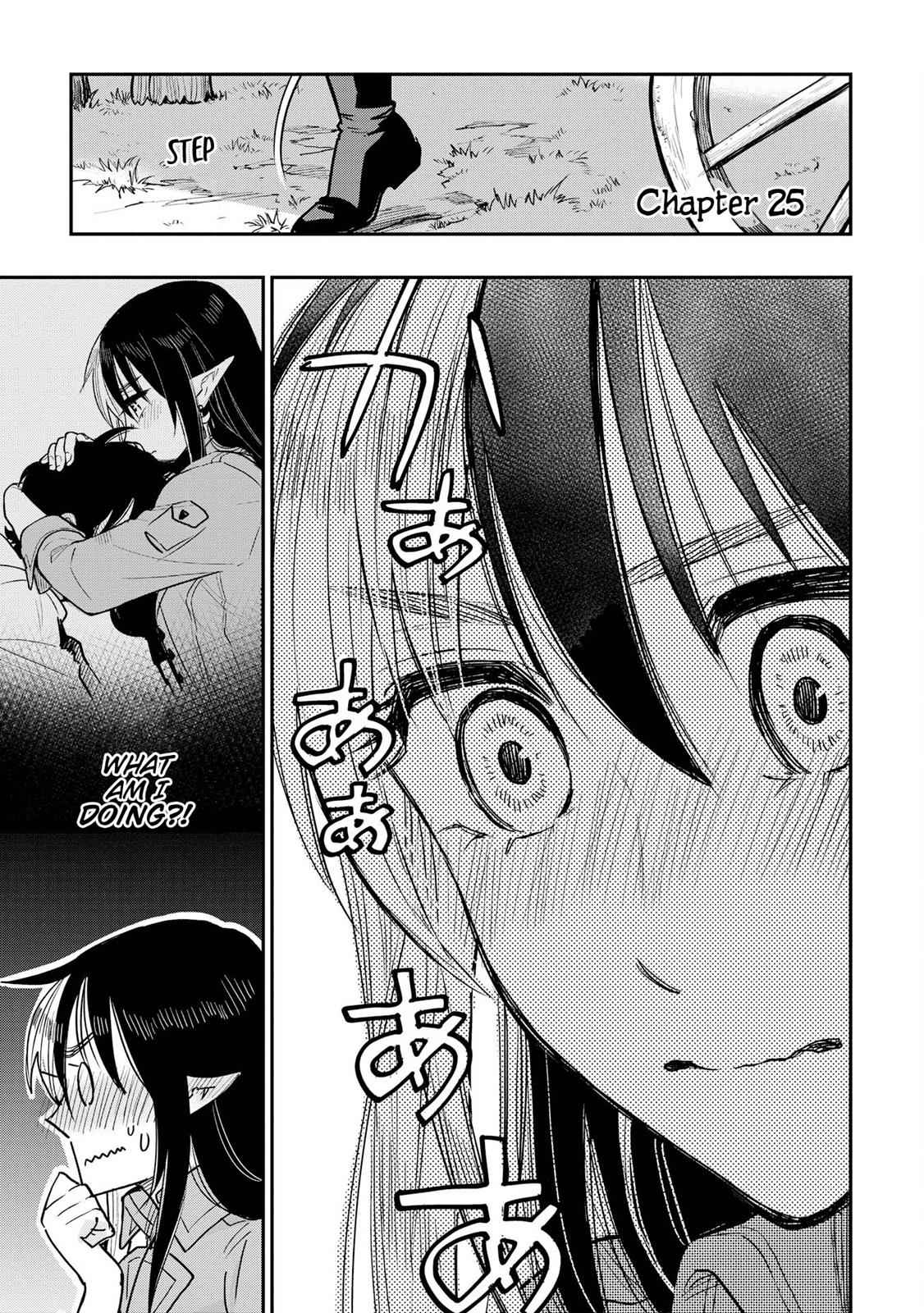 The New Gate Chap 25 - Next Chap 26