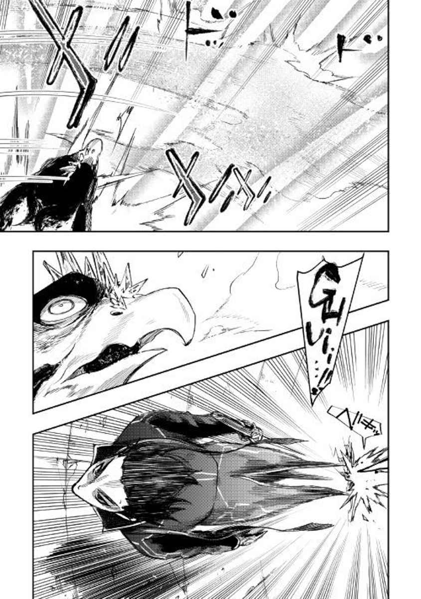 The New Gate Chap 45 - Next Chap 46