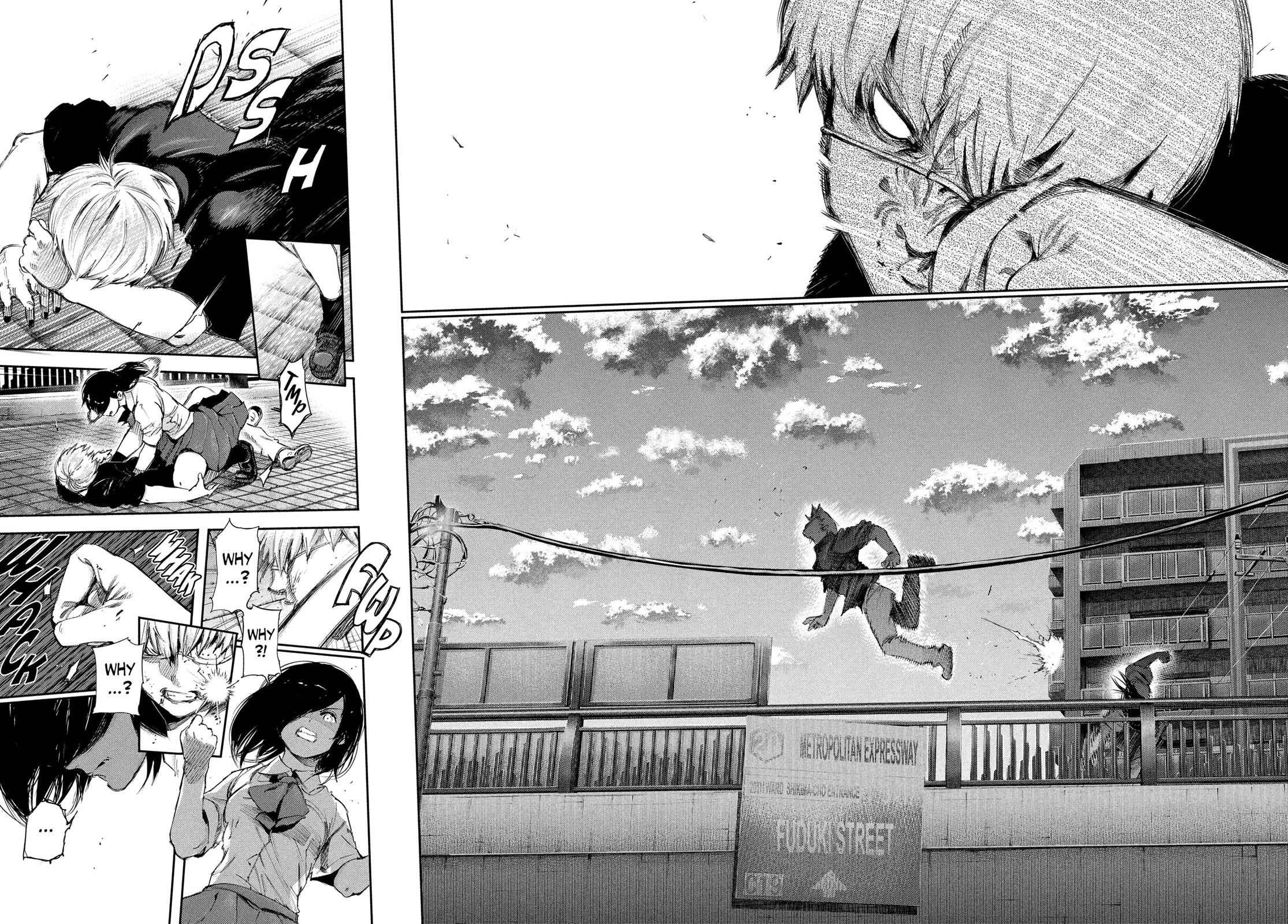 Tokyo Ghoul Chap 120 - Next Chap 121