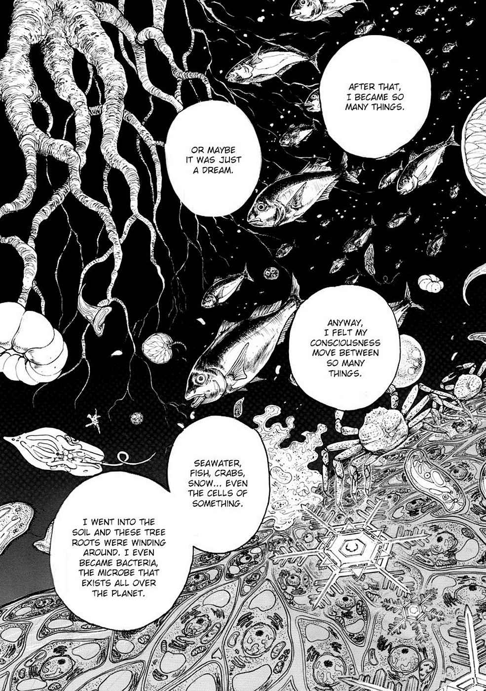 Baron Chap 8 - Next Chap 9