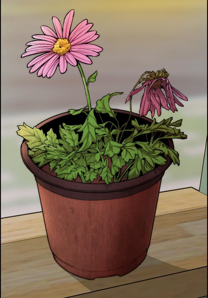 Wind Breaker SS4 - Manhwa Chap 14 - Next Chap 15