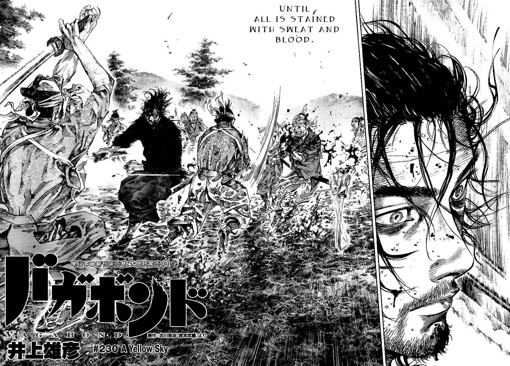 Vagabond Chap 230 - Next Chap 231