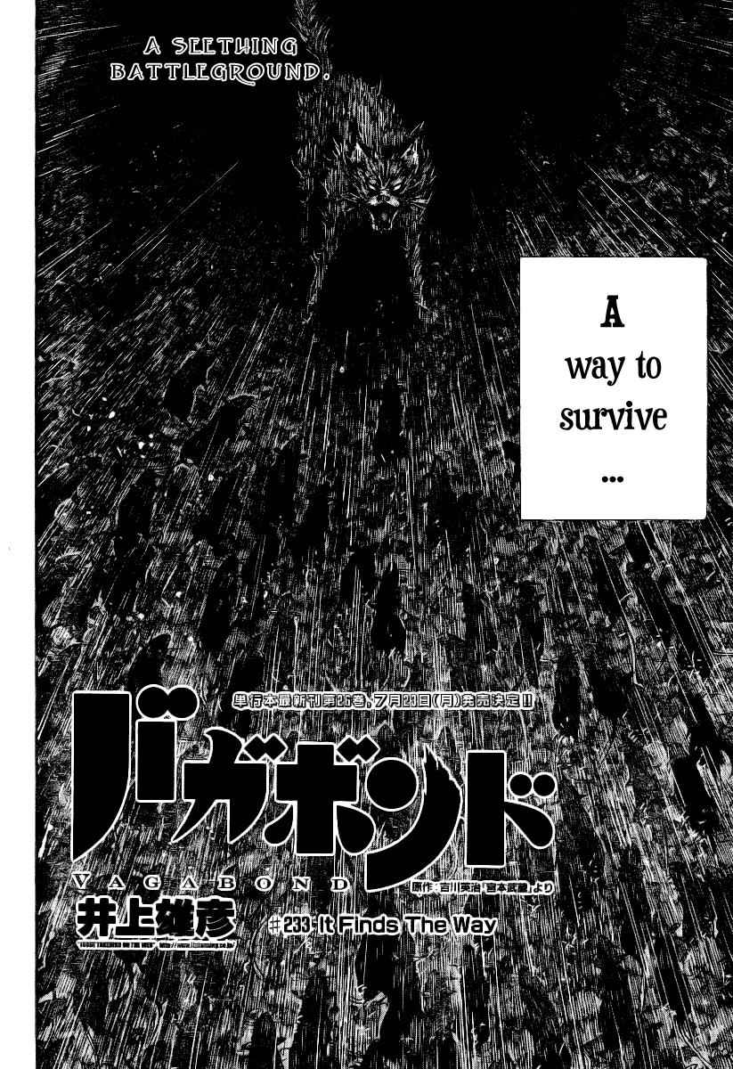 Vagabond Chap 233 - Next Chap 234