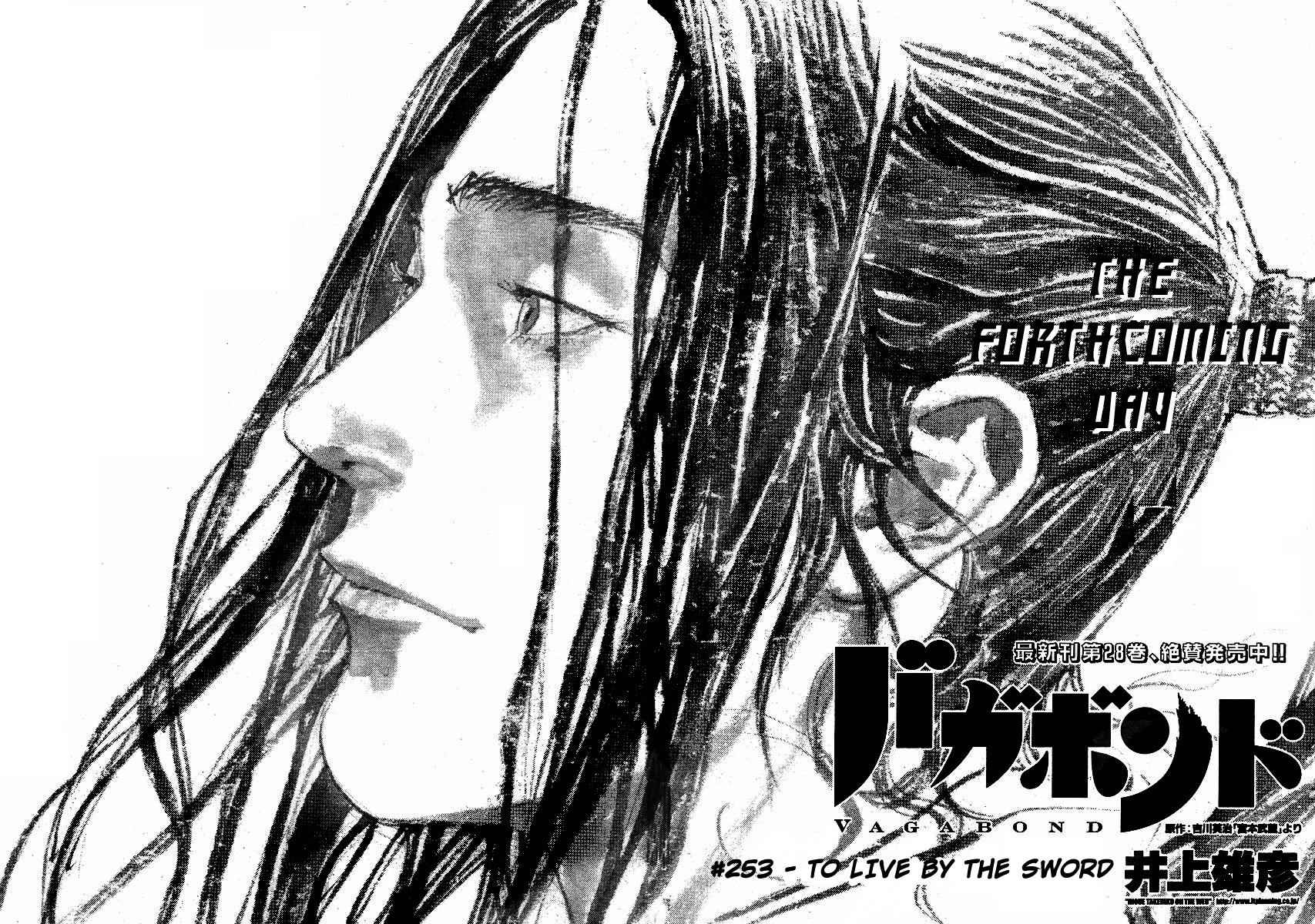 Vagabond Chap 253 - Next Chap 254