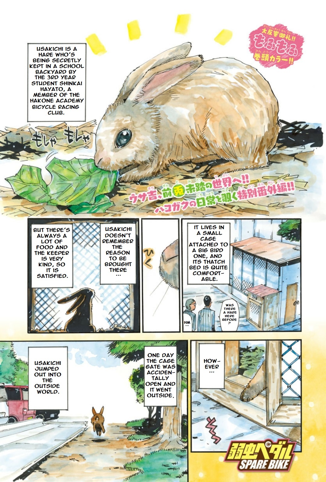 Yowamushi Pedal: Spare Bike Chap 91 - Next Chap 92